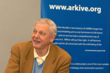 David Attenborough Quotes, Quotations, Sayings, Remarks and Thoughts