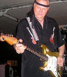 Dick Dale Quotes, Quotations, Sayings, Remarks and Thoughts